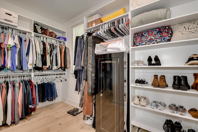 walk in closet featuring wood finished floors