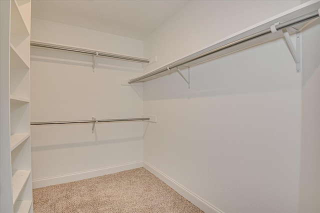 816 Fenwick Ct, Grovetown, GA 30813 - photo 26