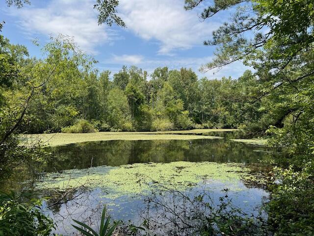 0 Gough Rd, Louisville, GA 30434 - photo 7