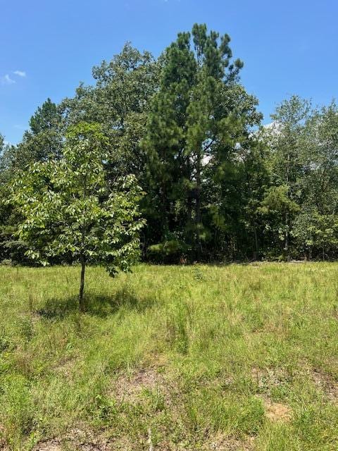 0 Gough Rd, Louisville, GA 30434 - photo 1