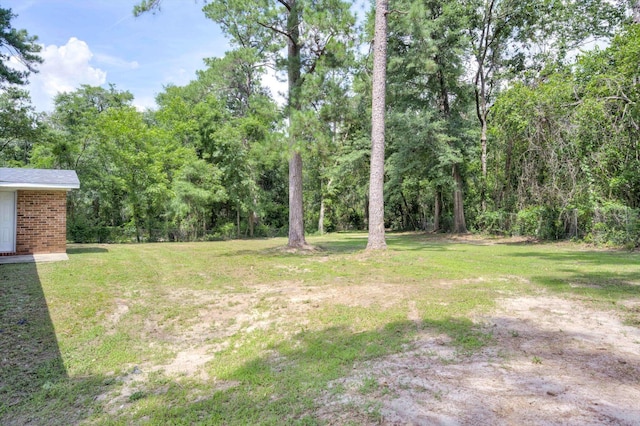 3204 Hillis Rd, Augusta, GA 30906 - view of green lawn