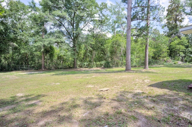 3204 Hillis Rd, Augusta, GA 30906 - view of yard