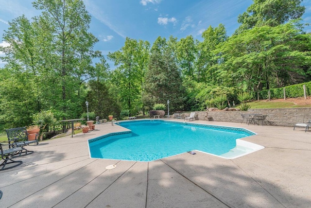 3287 Surrey Rd, Thomson, GA 30824 - outdoor pool featuring a patio