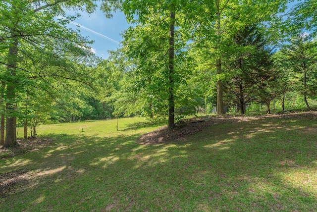 3287 Surrey Rd, Thomson, GA 30824 - view of yard with a wooded view