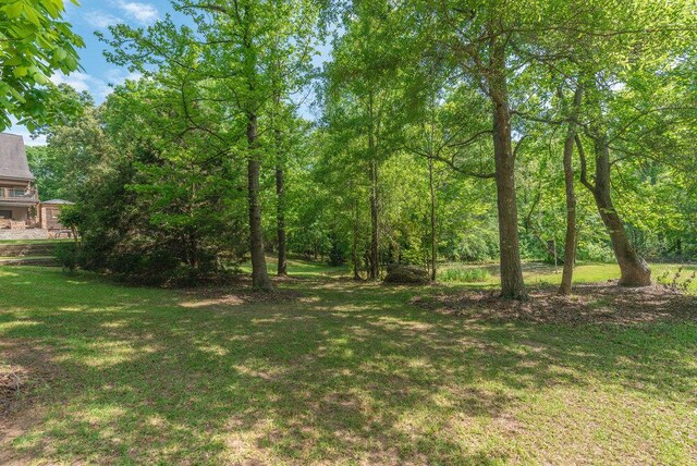 3287 Surrey Rd, Thomson, GA 30824 - view of yard