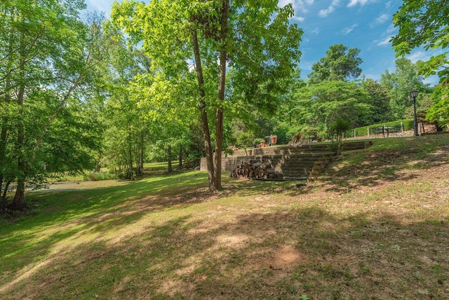 3287 Surrey Rd, Thomson, GA 30824 - view of yard