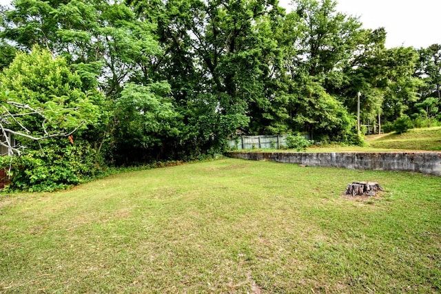 826 Georgia Ave, North Augusta, SC 29841 - photo 57