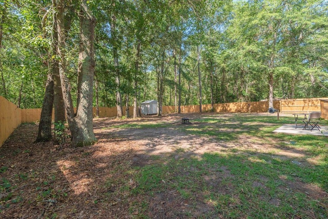 824 Coronet Dr, North Augusta, SC 29860 - photo 31