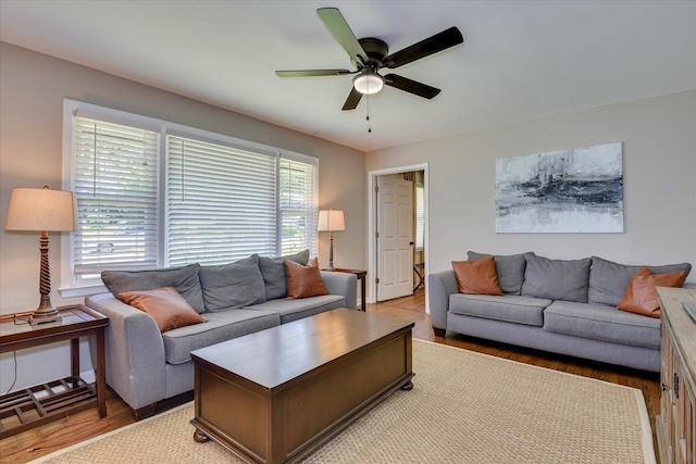 living room with plenty of natural light, a ceiling fan, and light wood-style flooring
