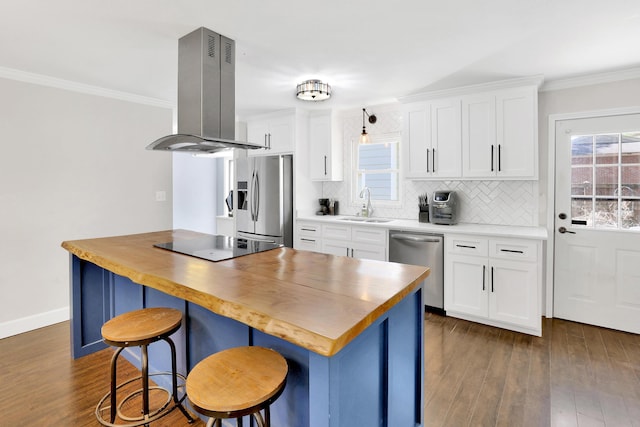 2530 Springwood Dr, Augusta, GA 30904 - kitchen featuring a sink, wooden counters, island range hood, stainless steel appliances, and dark wood-type flooring