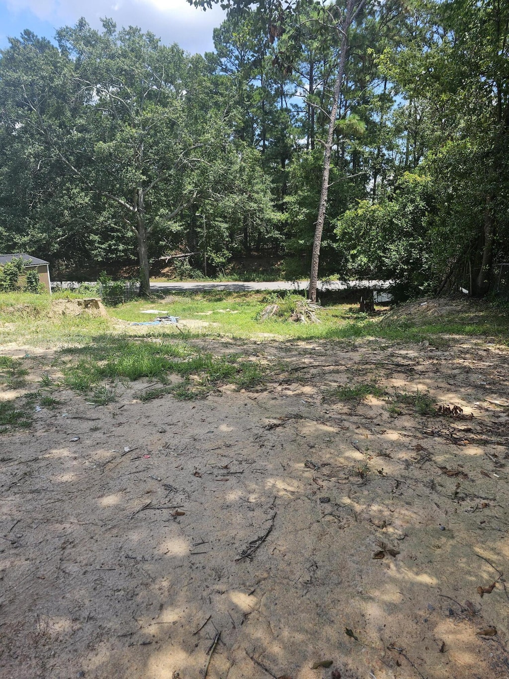 2914 Shelby Dr, Augusta, GA 30906 - photo 3