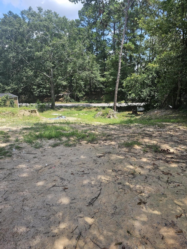 2914 Shelby Dr, Augusta, GA 30906 - photo 3