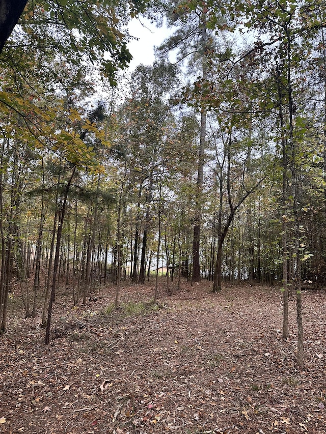 1431 Rock Point Cv, Tignall GA, 30668 land for sale