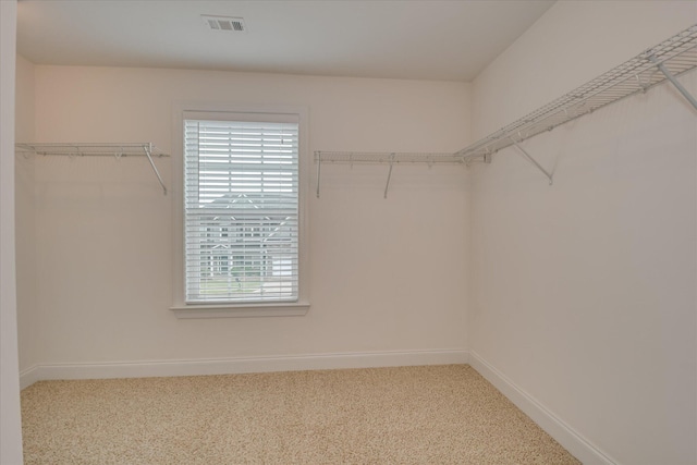 walk in closet with carpet floors