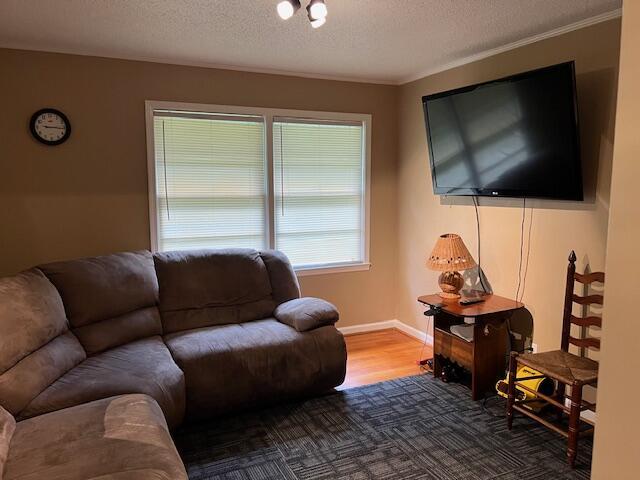 living room with hardwood / wood-style floors, ornamental molding, and a textured ceiling