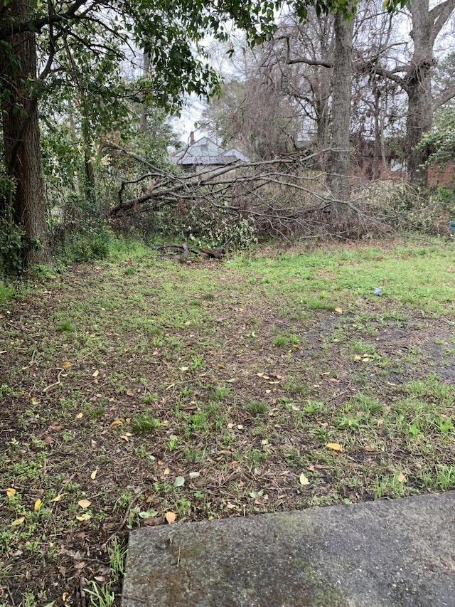 1978 Greene St, Augusta, GA 30904 - view of yard