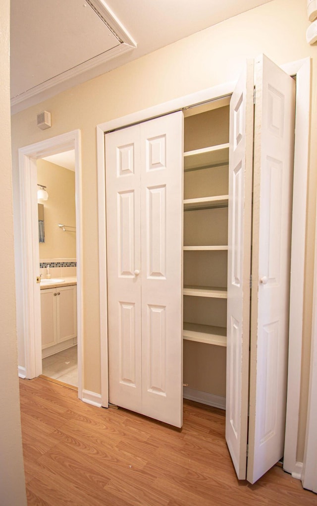 view of closet