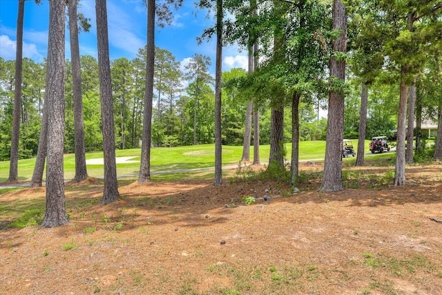 267 Fairway Dr, Mccormick, SC 29835 - view of yard with view of scattered trees