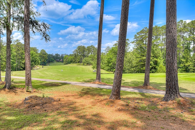 267 Fairway Dr, Mccormick, SC 29835 - view of grassy yard with view of scattered trees and golf course view