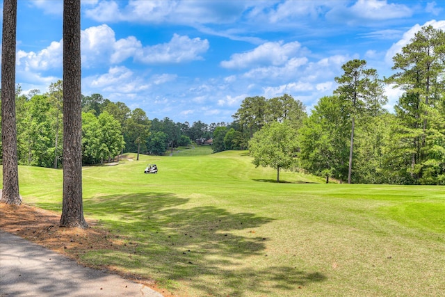 267 Fairway Dr, Mccormick, SC 29835 - view of property's community with view of wooded area, view of golf course, and a yard