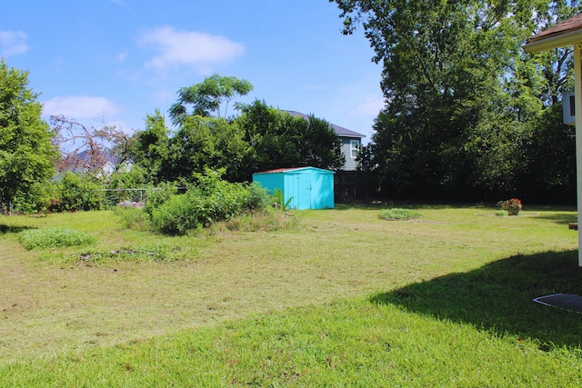 3711 Columbia Dr, Martinez, GA 30907 - view of green lawn featuring a storage unit