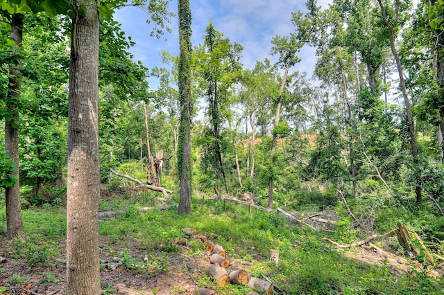 1414 Brookgreen Dr, North Augusta, SC 29841 - view of local wilderness