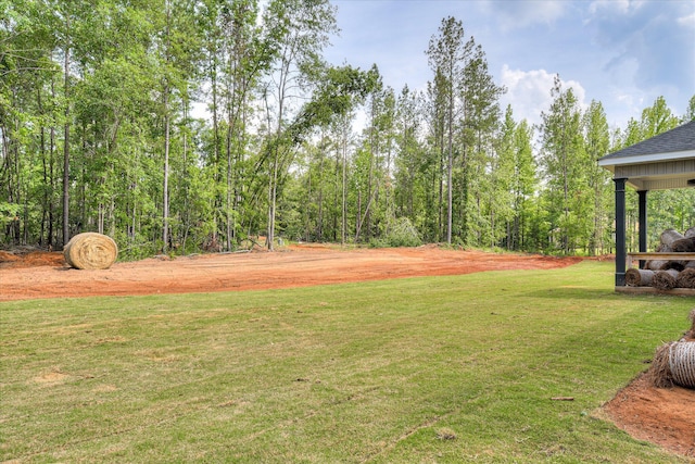 109 Dogwood Trl, Hephzibah, GA 30815 - view of green lawn
