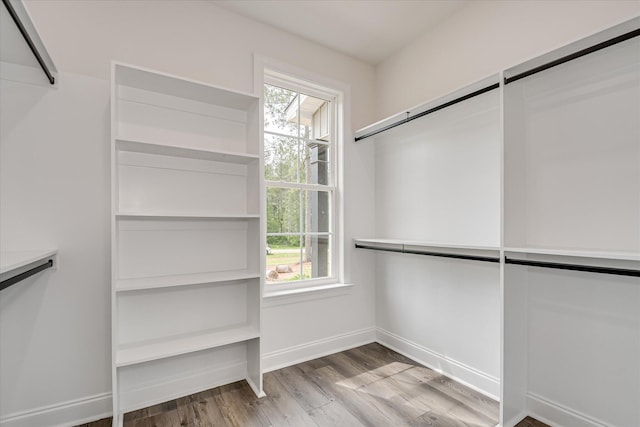109 Dogwood Trl, Hephzibah, GA 30815 - walk in closet featuring wood finished floors