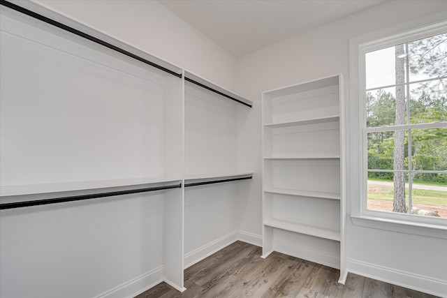 109 Dogwood Trl, Hephzibah, GA 30815 - walk in closet featuring wood finished floors and a barn door