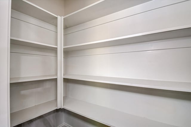 109 Dogwood Trl, Hephzibah, GA 30815 - view of pantry