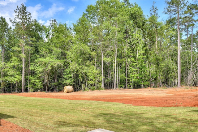 109 Dogwood Trl, Hephzibah, GA 30815 - view of home's community featuring a yard and a wooded view