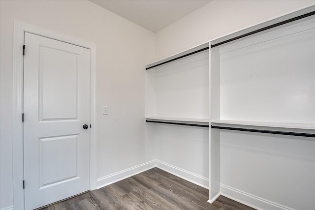 109 Dogwood Trl, Hephzibah, GA 30815 - walk in closet with dark wood-style flooring