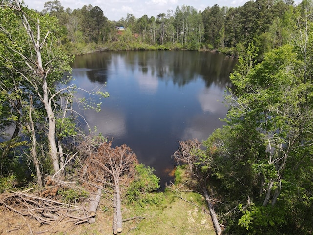 view of water feature with a view of trees