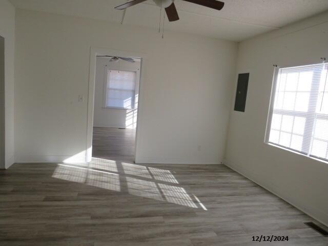 unfurnished room with ceiling fan and light hardwood / wood-style flooring