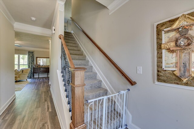 1308 Gregory Landing Dr, North Augusta, SC 29860 - photo 7