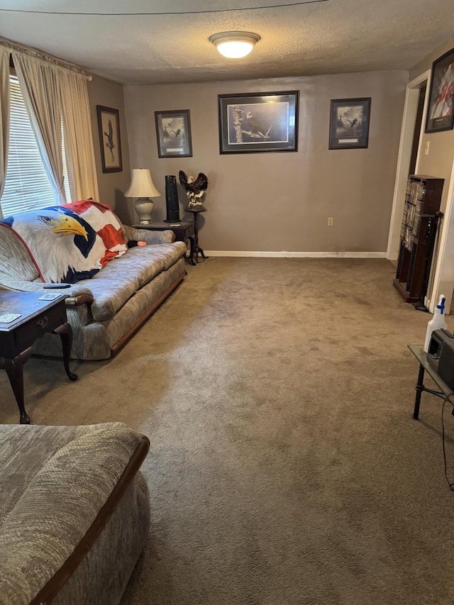 living room with carpet floors and a textured ceiling