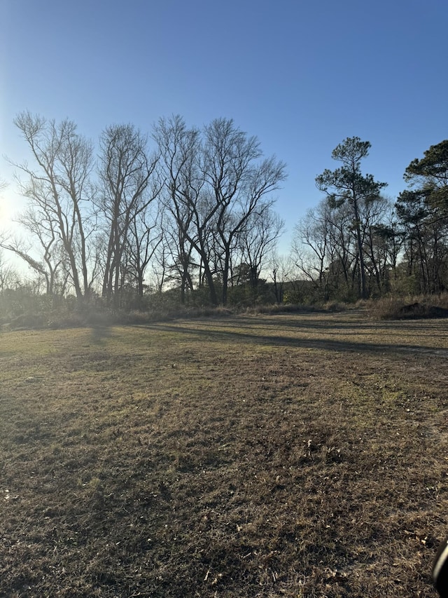 view of yard featuring a rural view