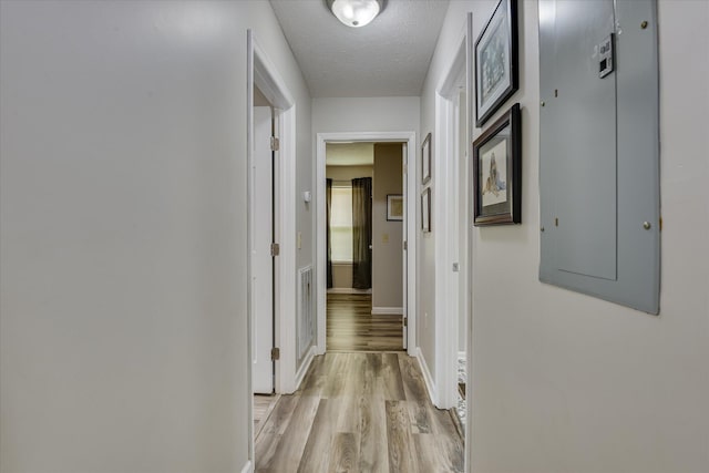 424 NW Mccormick St, Aiken, SC 29801 - photo 13