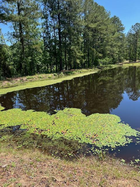 property view of water featuring a wooded view