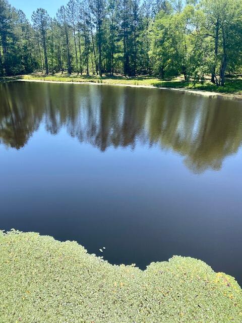 water view with a forest view