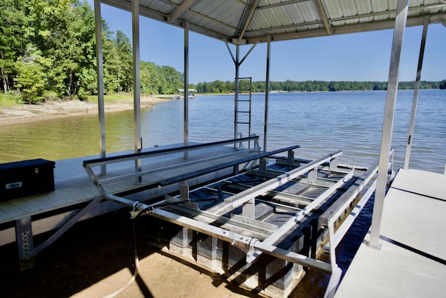 dock area with a water view