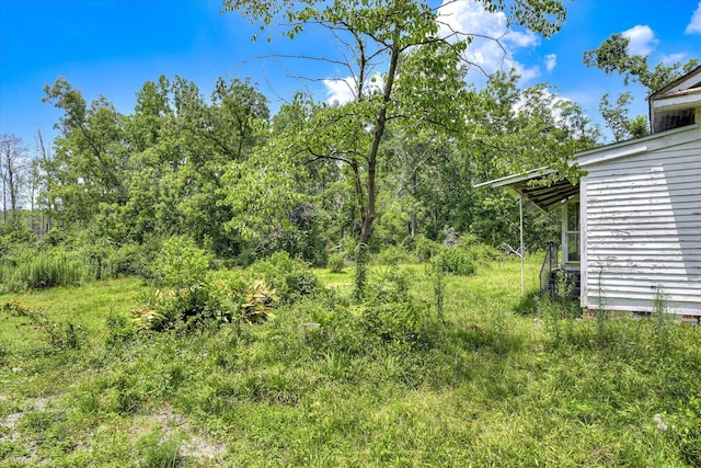 2910-2920 Milledgeville Rd, Augusta, GA 30904 - view of yard