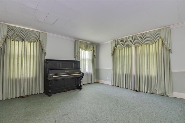 2910-2920 Milledgeville Rd, Augusta, GA 30904 - unfurnished living room featuring ornamental molding and light carpet