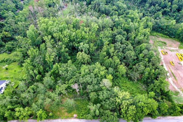2910-2920 Milledgeville Rd, Augusta, GA 30904 - view of property location with a heavily wooded area