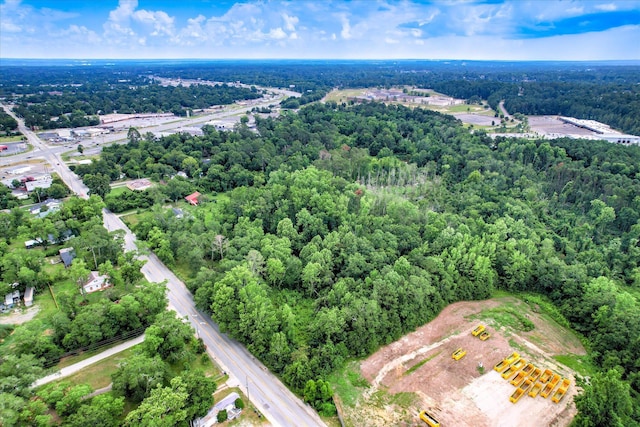 2910-2920 Milledgeville Rd, Augusta, GA 30904 - aerial view of a forest