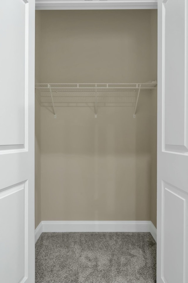 view of closet