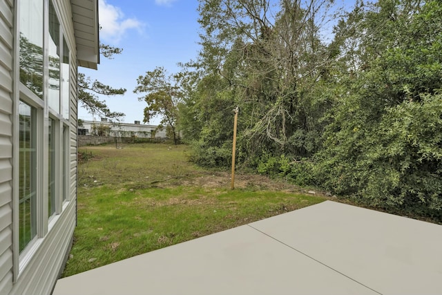 view of yard featuring a patio area