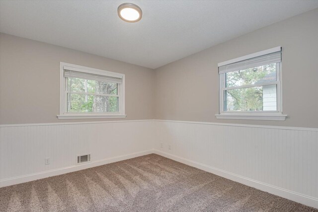 carpeted empty room with plenty of natural light