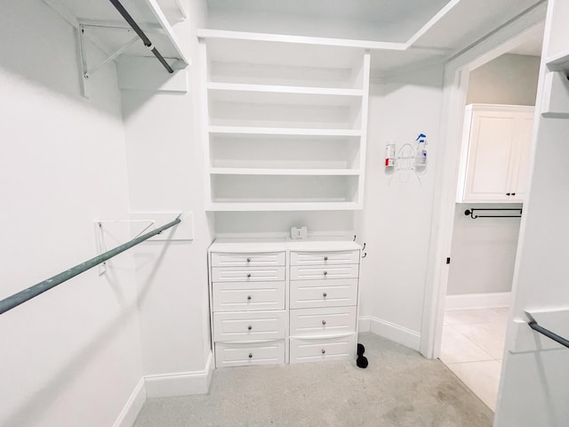 spacious closet with light carpet