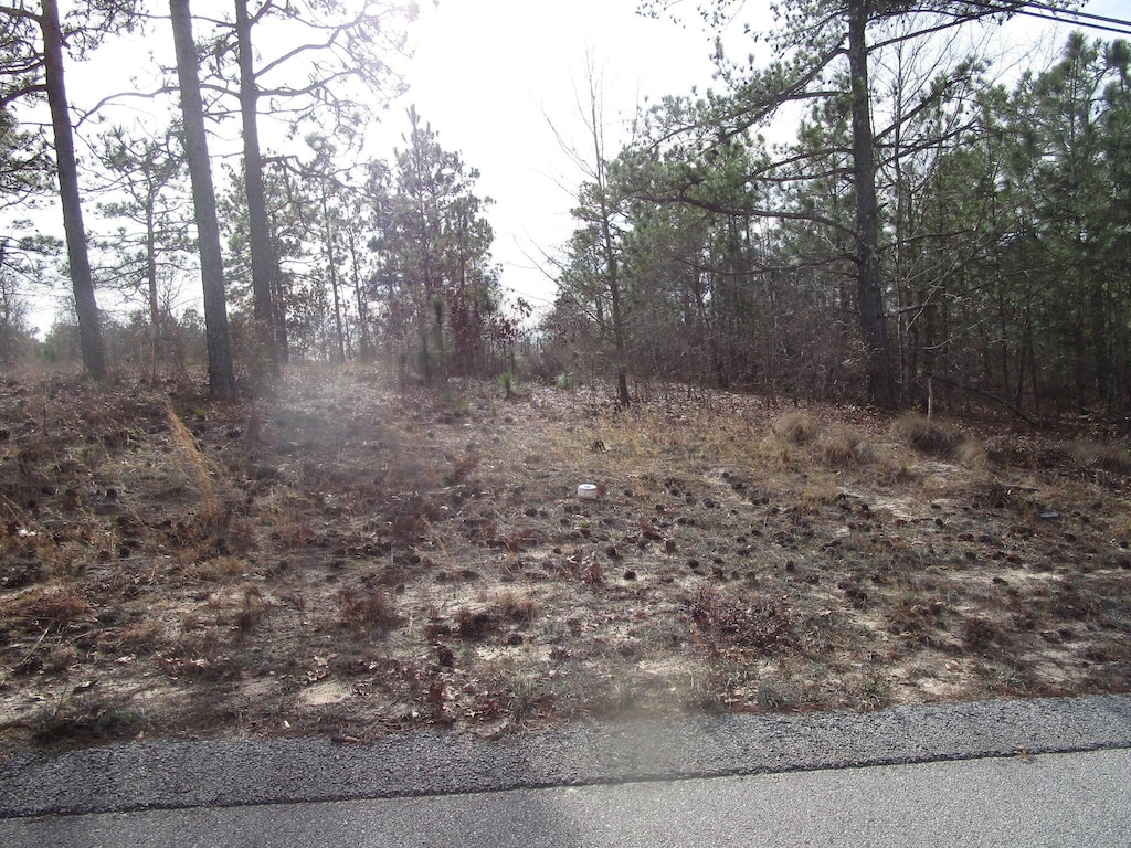3024 Thornhill Dr, Hephzibah, GA 30815 - photo 1